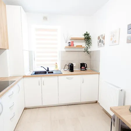 B&v 203 Coresi - Elegant Mountain Retreat Brasov